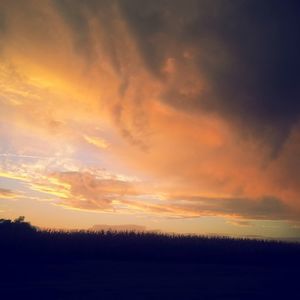 Meet your Posher, Janis